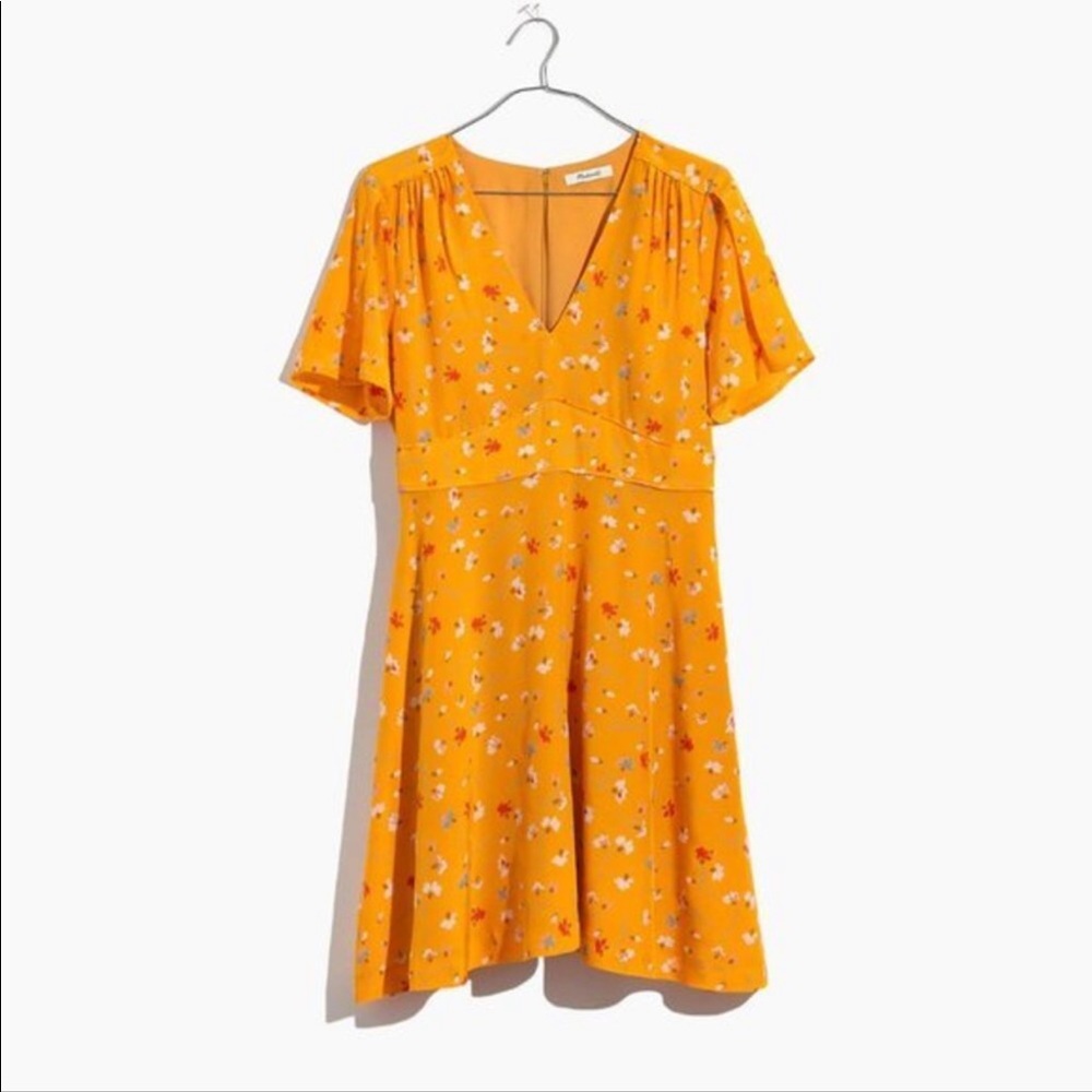 Madewell Belladonna Like New Painted Carnations Silk Size 6 Lined EUC Mini Dress